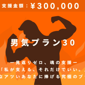 男気プラン30（30万円）